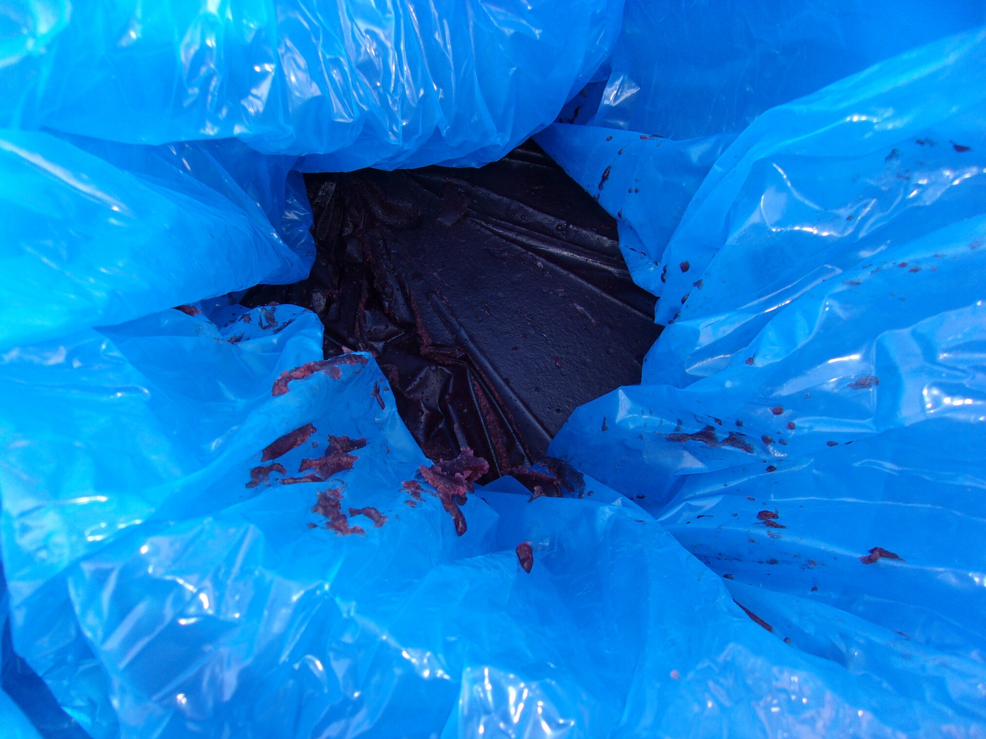 Barrel Blueberry Filling 500 Bear Bait Deer Bait Archery Shop Hunting Supplies